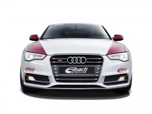 Audi S5 Coupe by Eibach 2012 года 